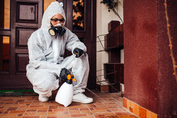 Reliable Wasp Removal contractor in Flanders, NJ by Show Me Pest Control